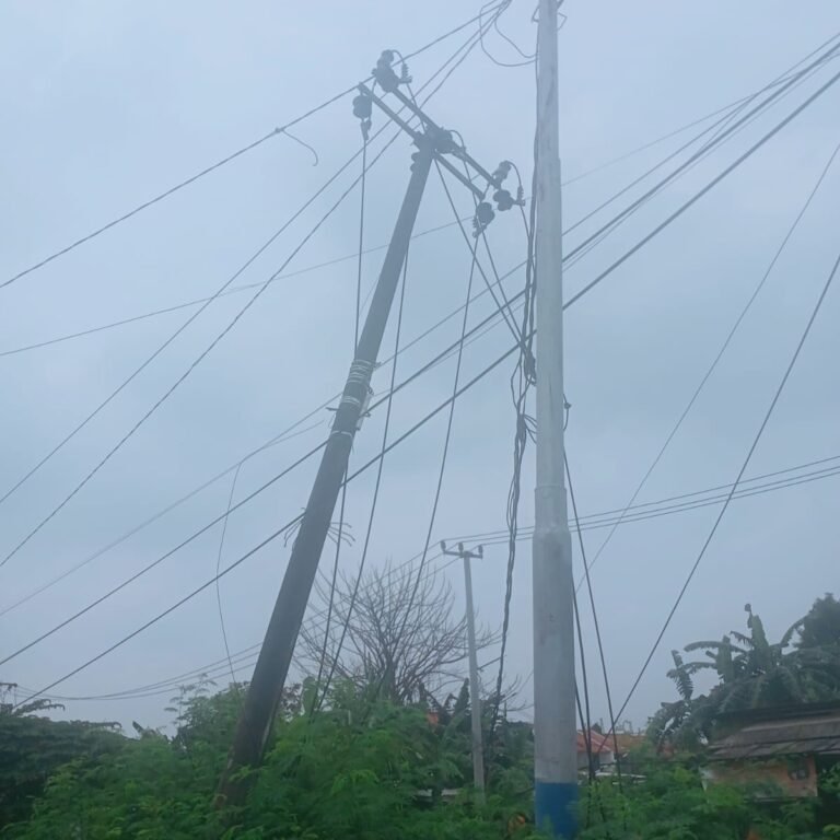 1750758238451