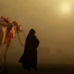 images (96)
