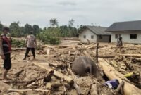 ‎Ilustrasi kondisi banjir Pidie Jaya. Foto: Dok Kiriman warga.
