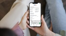 sistem tiket online Ferizy