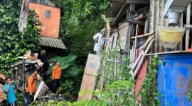 Hujan deras yang disertai angin kencang mengakibatkan sebuah pohon tumbang di wilayah Link Babakan