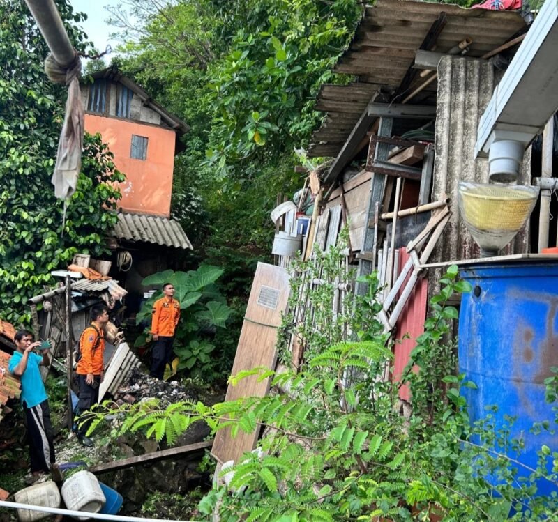 Hujan deras yang disertai angin kencang mengakibatkan sebuah pohon tumbang di wilayah Link Babakan