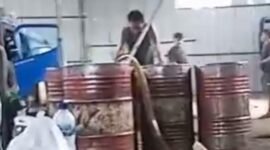 Sebuah Gudang Diduga Dijadikan Lokasi Solar Ilegal