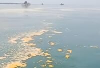 Laut Teluknaga tercemar Limbah (foto/ist)