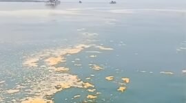 Laut Teluknaga tercemar Limbah (foto/ist)