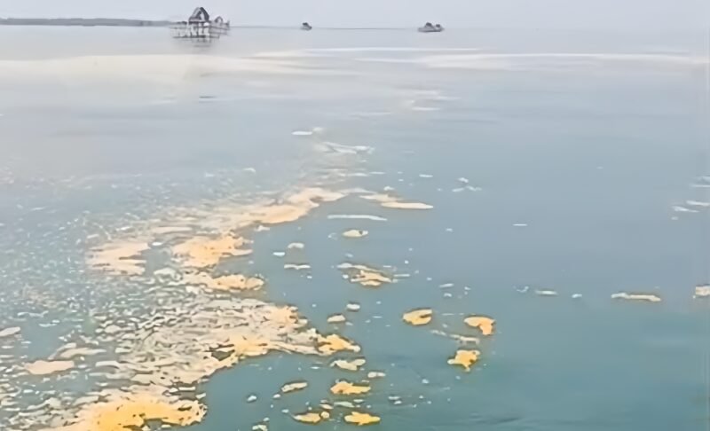 Laut Teluknaga tercemar Limbah (foto/ist)