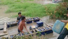 Foto: Aktivitas Penambangan Emas Tanpa Izin (PETI) yang berlangsung di bagian hulu Danau Rawang Udang, Kabupaten Kuantan Singingi (Istimewa)