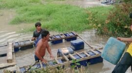 Foto: Aktivitas Penambangan Emas Tanpa Izin (PETI) yang berlangsung di bagian hulu Danau Rawang Udang, Kabupaten Kuantan Singingi (Istimewa)