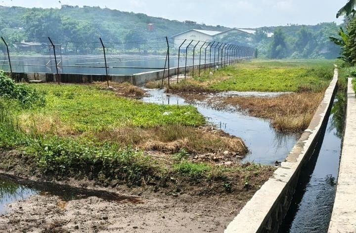 Kondisi drainase dekat kolam pengelolaan air lindi (Foto: Agung/Pusat-Berita)