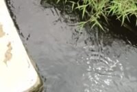 Drainase Air Warga Terdampak Air Lindi, Terlihat Warna Air Sangat Hitam Pekat (Foto: Investigasi/Pusat-Berita)