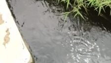Drainase Air Warga Terdampak Air Lindi, Terlihat Warna Air Sangat Hitam Pekat (Foto: Investigasi/Pusat-Berita)