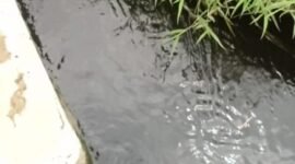 Drainase Air Warga Terdampak Air Lindi, Terlihat Warna Air Sangat Hitam Pekat (Foto: Investigasi/Pusat-Berita)