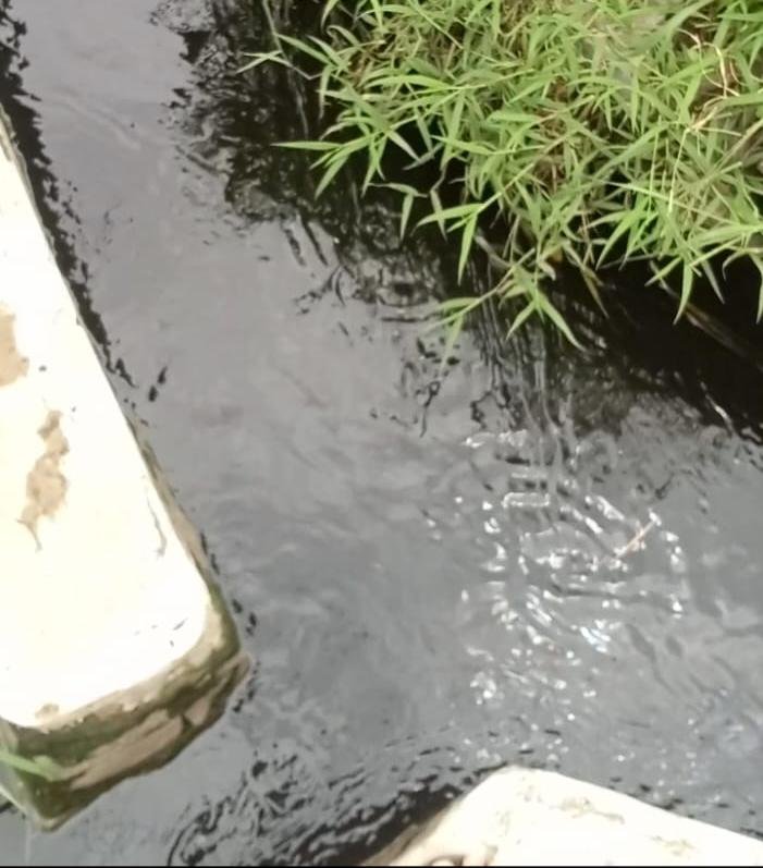 Drainase Air Warga Terdampak Air Lindi, Terlihat Warna Air Sangat Hitam Pekat (Foto: Investigasi/Pusat-Berita)