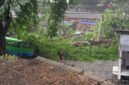Angin Kencang Terjang Bogor (Foto: Ilustrasi)