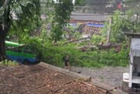 Angin Kencang Terjang Bogor (Foto: Ilustrasi)