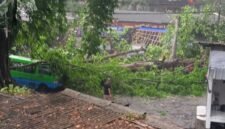 Angin Kencang Terjang Bogor (Foto: Ilustrasi)