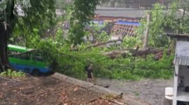 Angin Kencang Terjang Bogor (Foto: Ilustrasi)