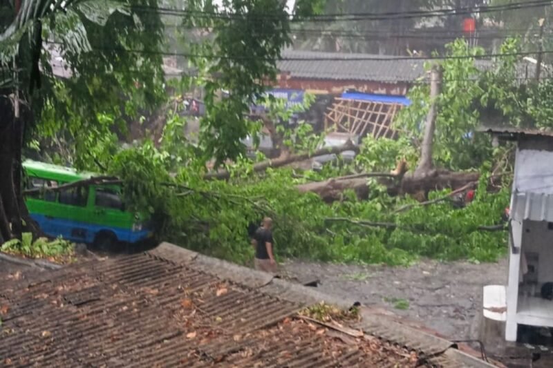 Angin Kencang Terjang Bogor (Foto: Ilustrasi)
