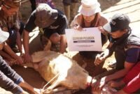 Distribusikan 7 Ekor Qurban dan Sedekah Daging (Foto: Istimewa)