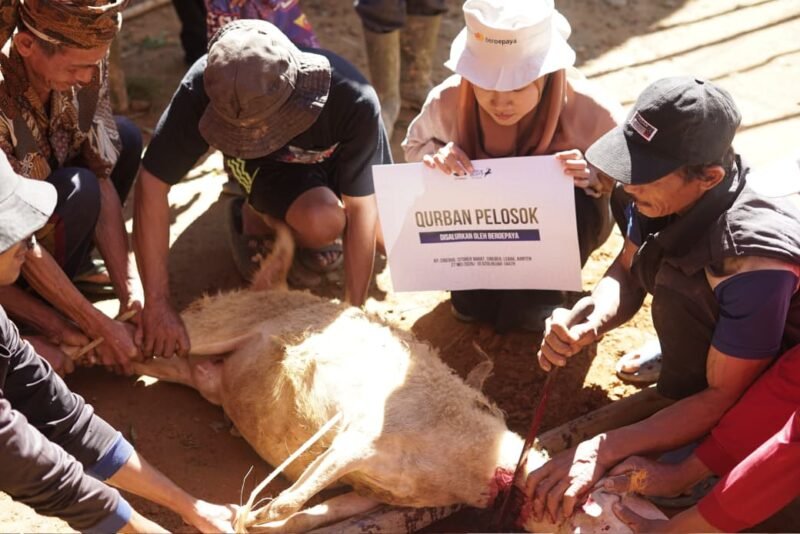 Distribusikan 7 Ekor Qurban dan Sedekah Daging (Foto: Istimewa)