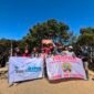 Momen kebersamaan peserta Open Trip Expedition Sua.ra Alam dan Persapalas di Puncak Gunung Gede, Jawa Barat. Dok. Expedition Sua.ra Alam