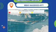 Peta peringatan dini tsunami BMKG pascagempa berkekuatan magnitudo 7,7 yang berpusat di sekitar Mbay, Kabupaten Nagekeo, NTT, Sabtu (15/8/2026). (Foto: BMKG NTT)