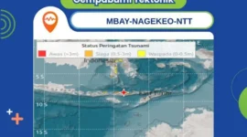 Peta peringatan dini tsunami BMKG pascagempa berkekuatan magnitudo 7,7 yang berpusat di sekitar Mbay, Kabupaten Nagekeo, NTT, Sabtu (15/8/2026). (Foto: BMKG NTT)