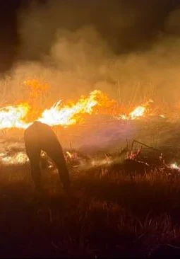 Karhutla Bromo Makin Meluas, Seluruh Akses Wisata Ditutup Total