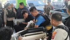 Korban tewas penembakan dievakuasi ke UGD RSUD Wamena. (Foto/istimewa)